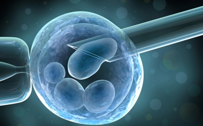 Xét nghiệm sàng lọc di truyền trước chuyển phôi