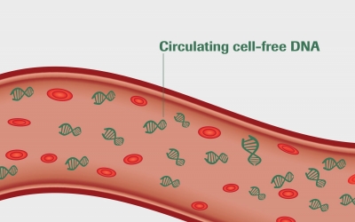 Xét nghiệm gen ung thư bằng công nghệ digital PCR